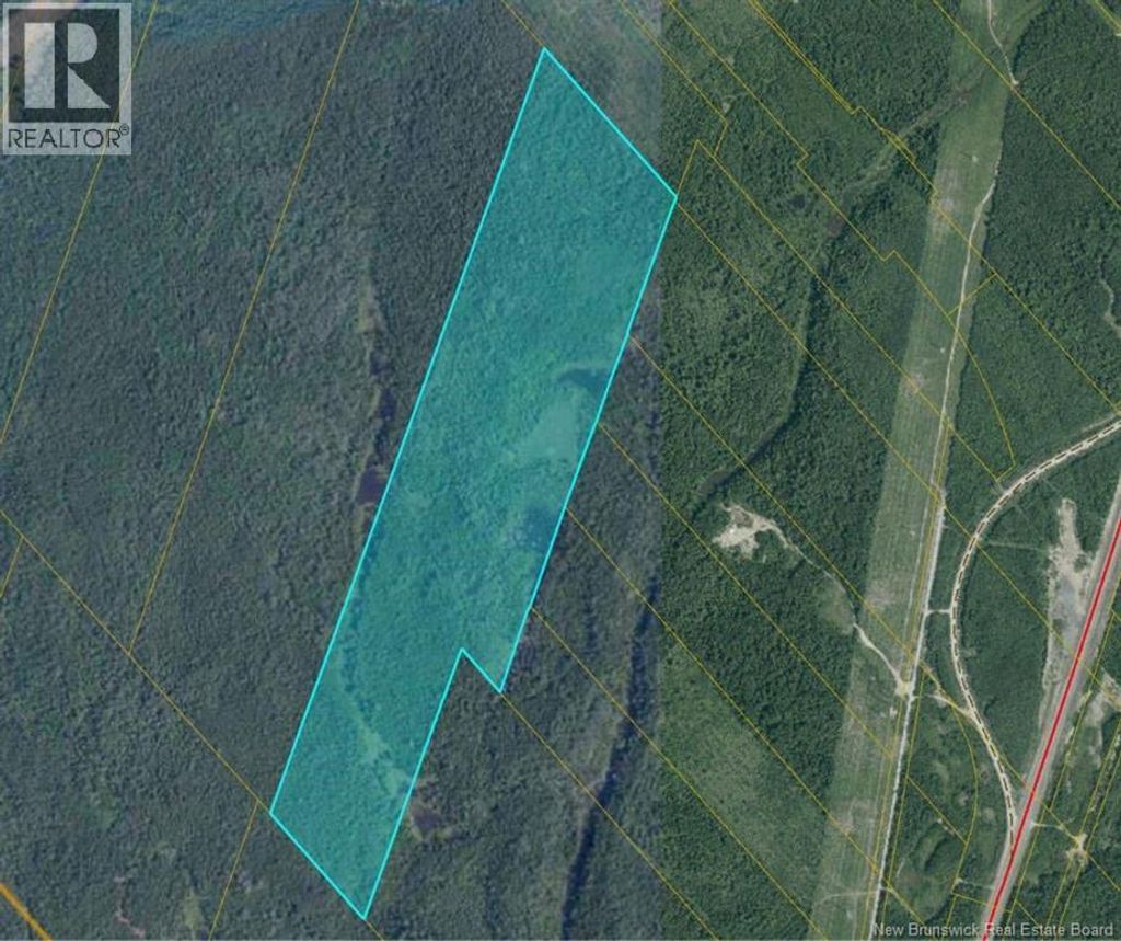 00 Timberland - Off King George Hwy - Miramichi, Newcastle