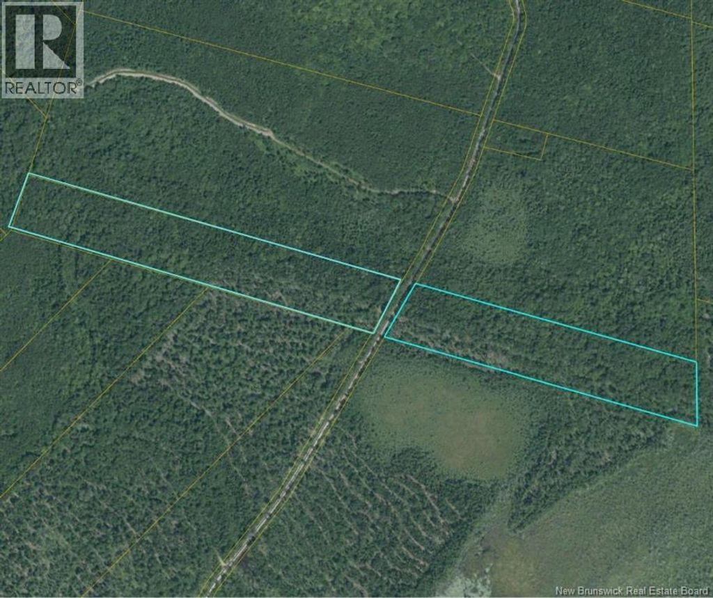 00 Woodlot 99 Chemin Richard - Saint-norbert, Saint-Norbert