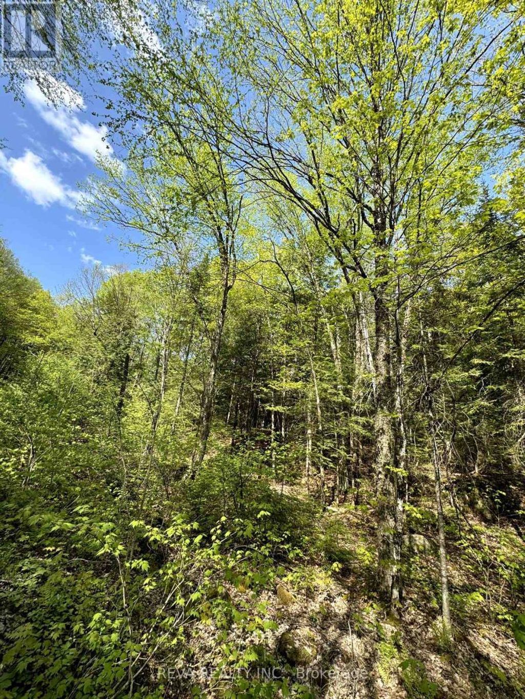 0 Salmon Trout Lake Road, Hastings Highlands (monteagle Ward)