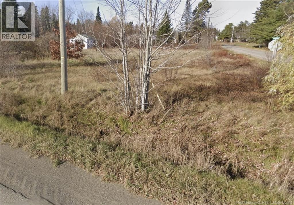 Lot Route 370 Nord, Leech