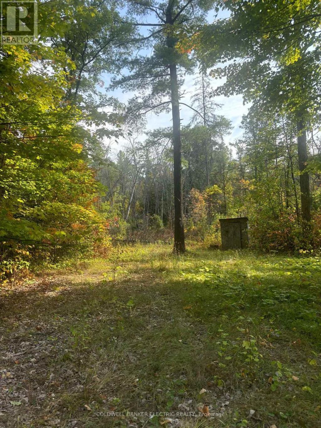 0 Pineview Court, Marmora And Lake (marmora Ward)