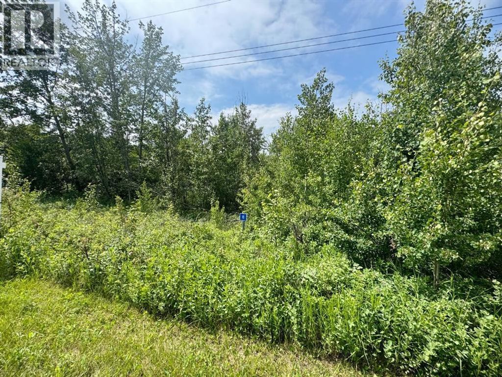 8 Buffalo Drive, Rural Stettler No. 6, County Of