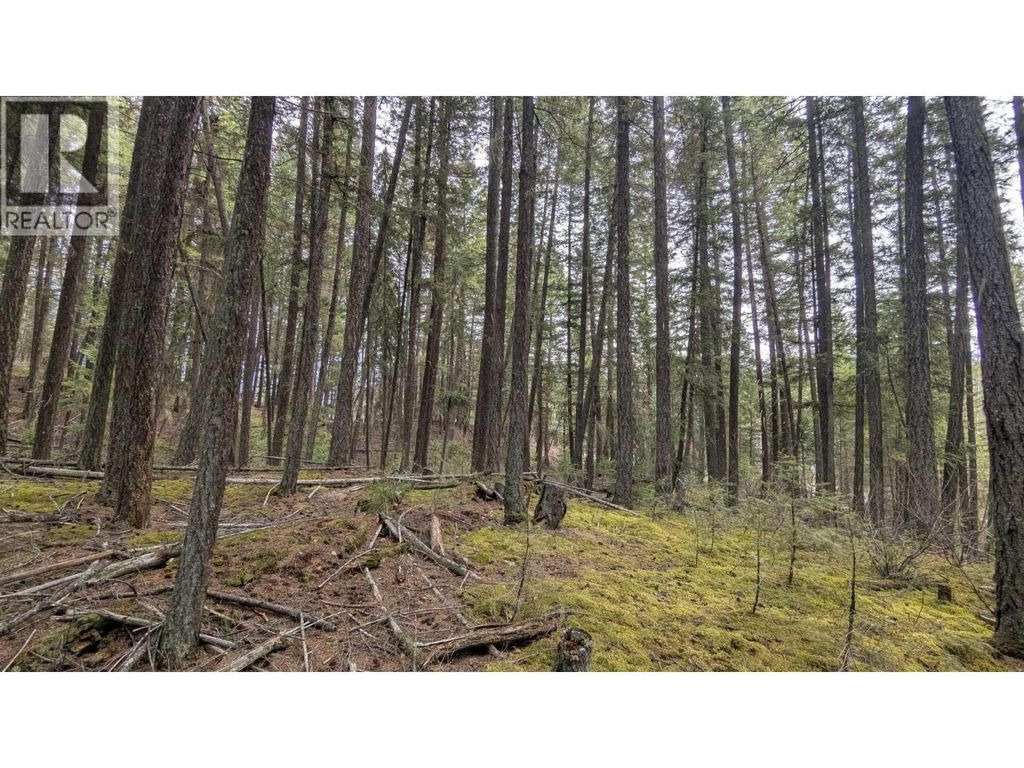 Lot 3 Summit Road, Canim Lake