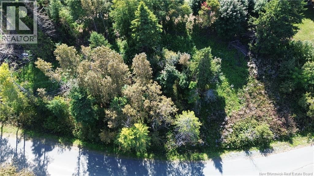Vacant Land Cote Bleue Drive, Bathurst