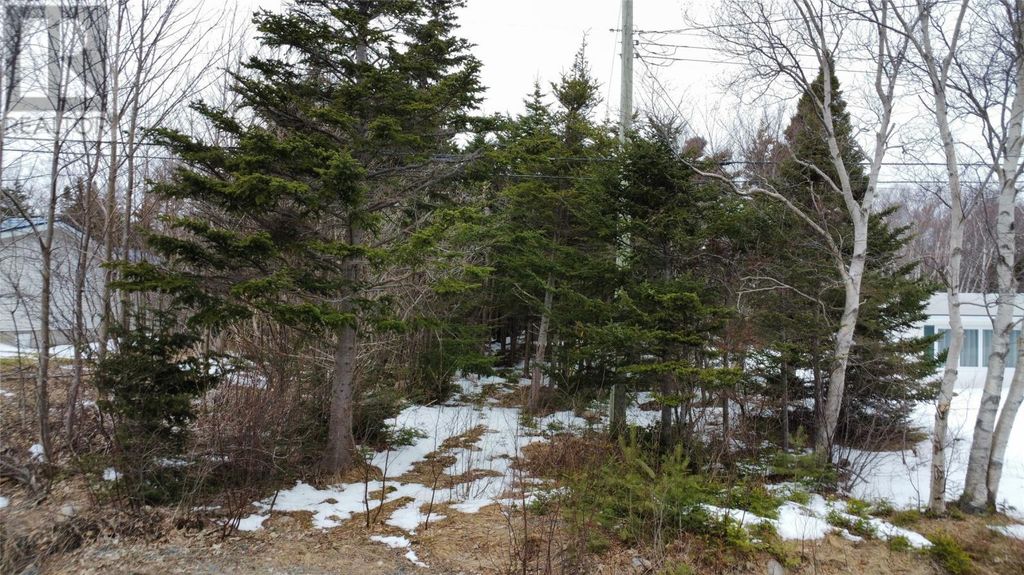 530 Seal Cove Road, Cbs