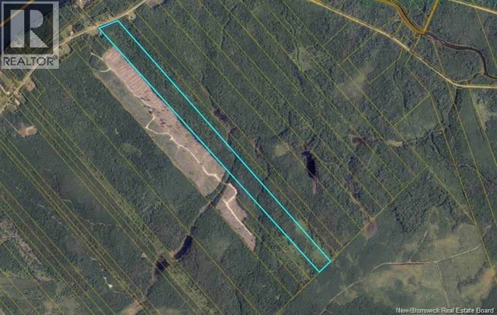 Woodlot Route 118, Chelmsford