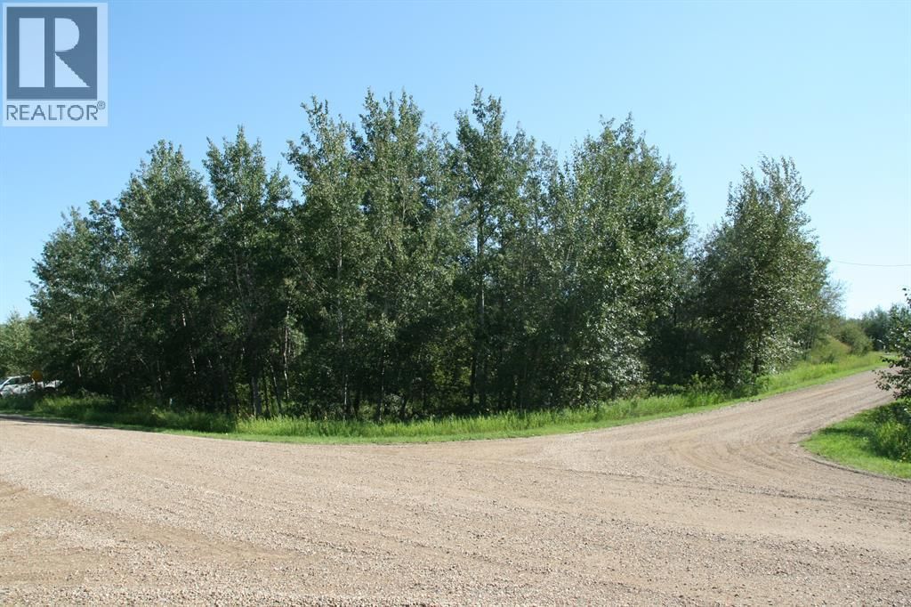 7 Buffalo Drive, Rural Stettler No. 6, County Of