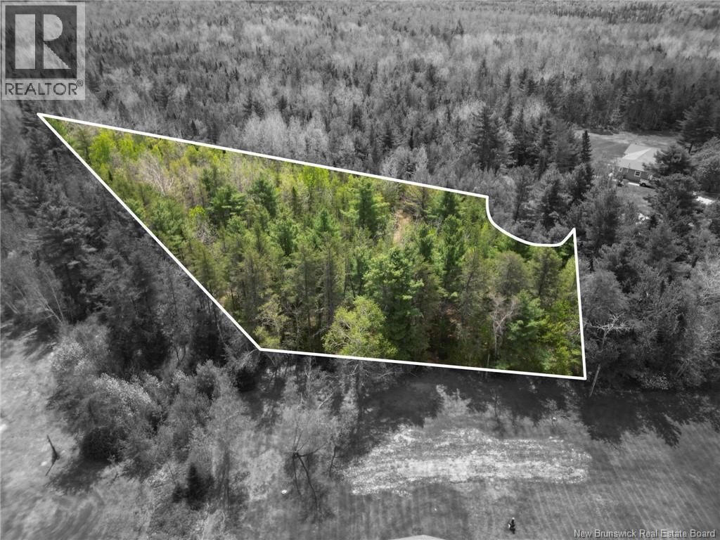 Lot 97-1 Des Pins, Saint-Charles