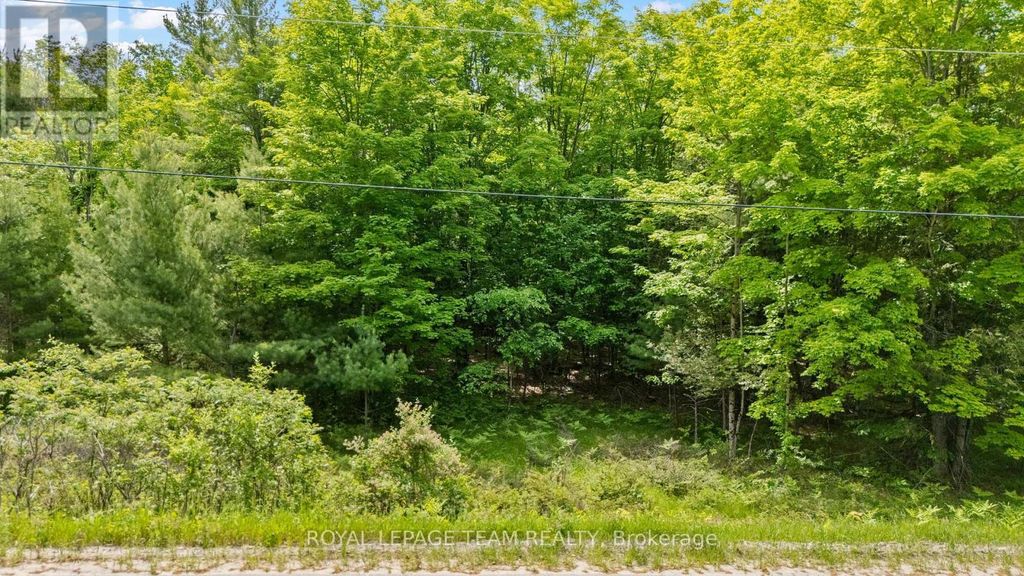 00 Maple Street, Lanark Highlands