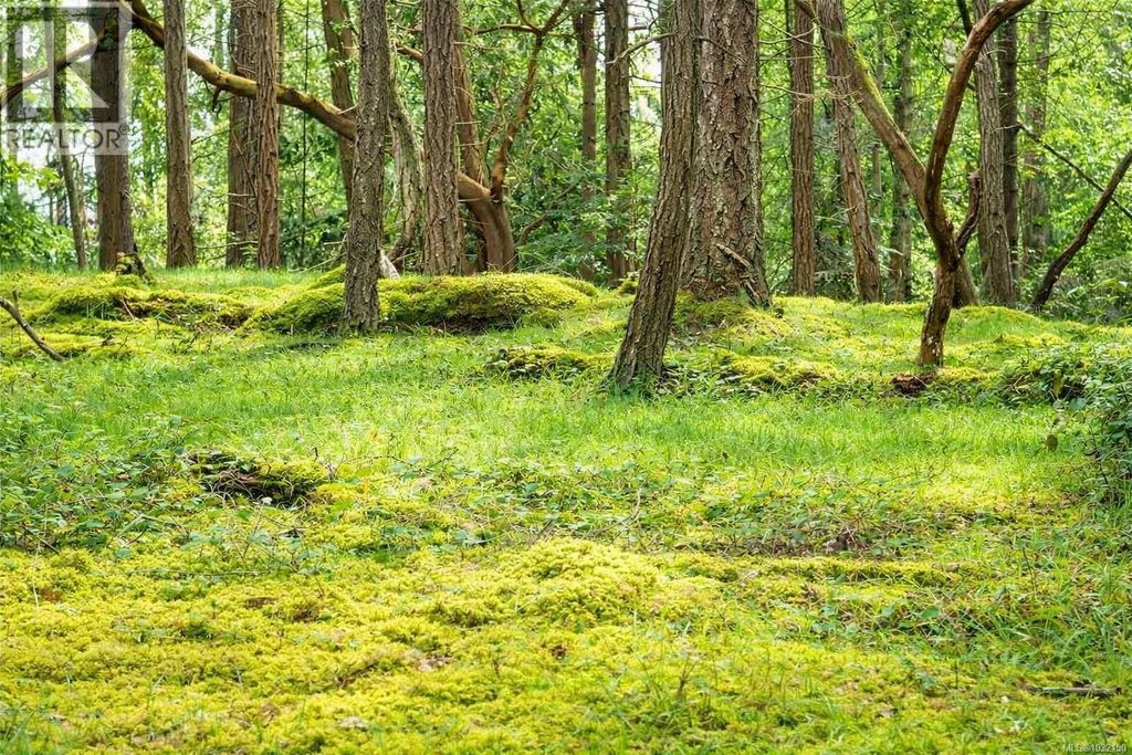Lot 88 Sockeye Dr, Mudge Island