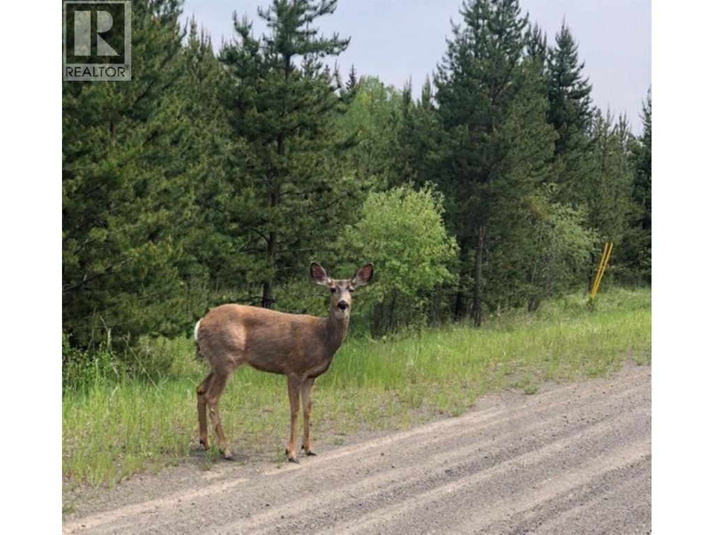 Lot 1 5916 Little Fort 24 Highway, Lone Butte