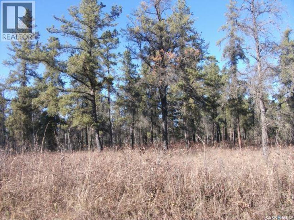 5-3 Lot 1.20 Acres, Hudson Bay Rm No. 394