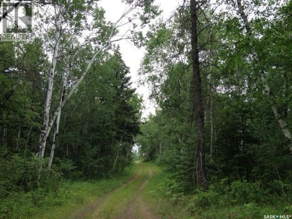 2-3 Lot 1.46 Acre, Hudson Bay Rm No. 394