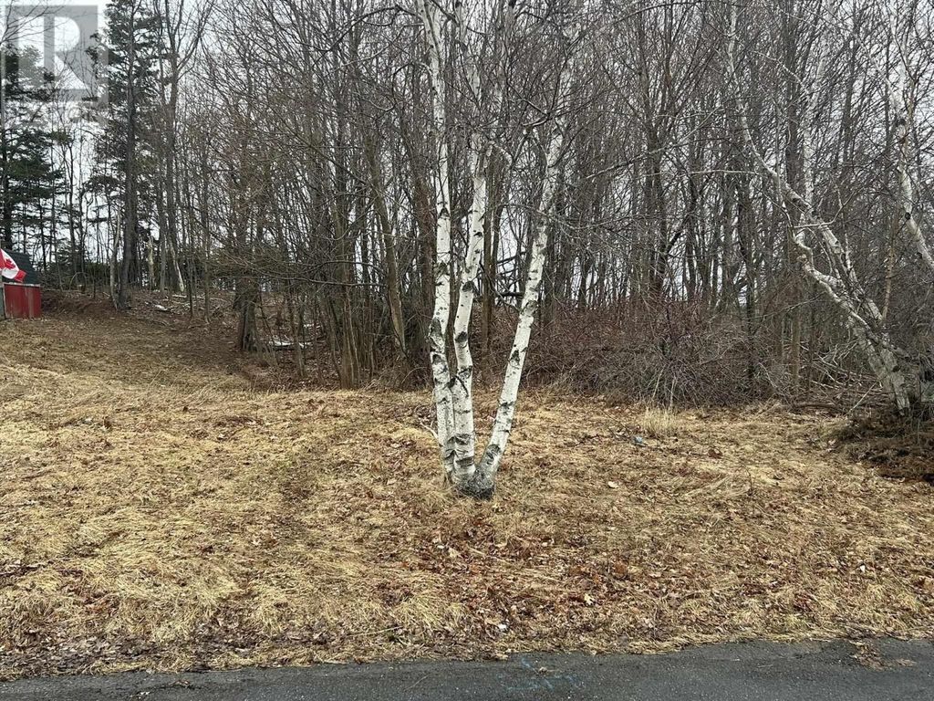 Lot 1 511 Birch Street, New Glasgow