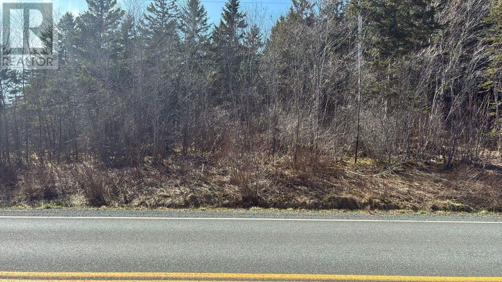 Highway#7, Ashdale
