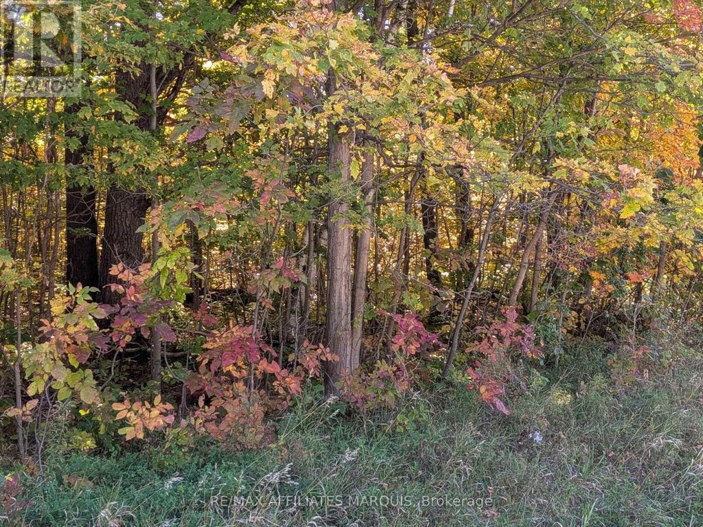 00 Highway 15 Road, Rideau Lakes