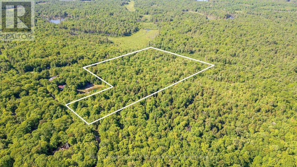 1061 South Muldrew Lake Road, Gravenhurst (morrison)
