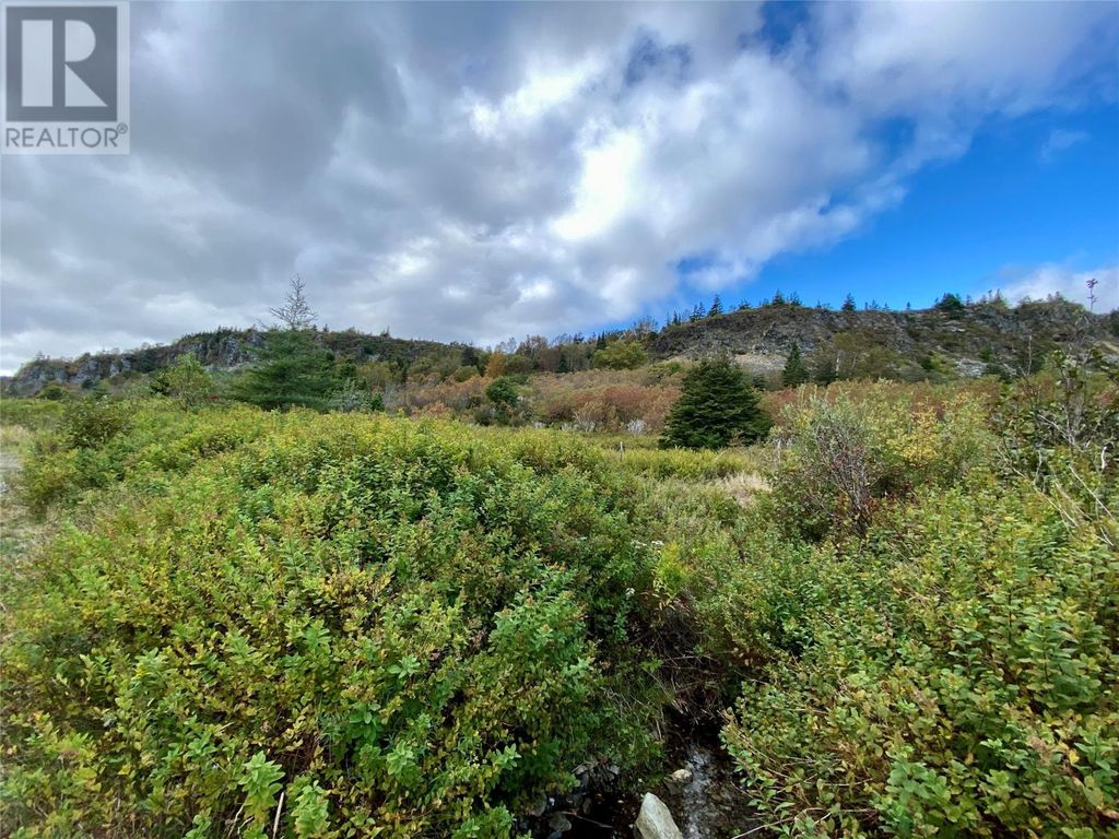 6-8 Old Road N, Salmon Cove