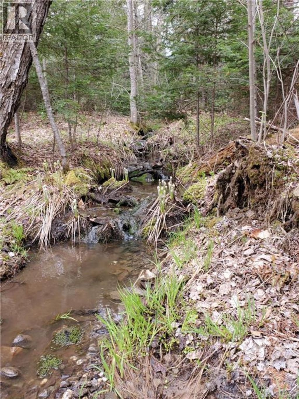Lot 2 Thompson Road, Kierstead Mountain