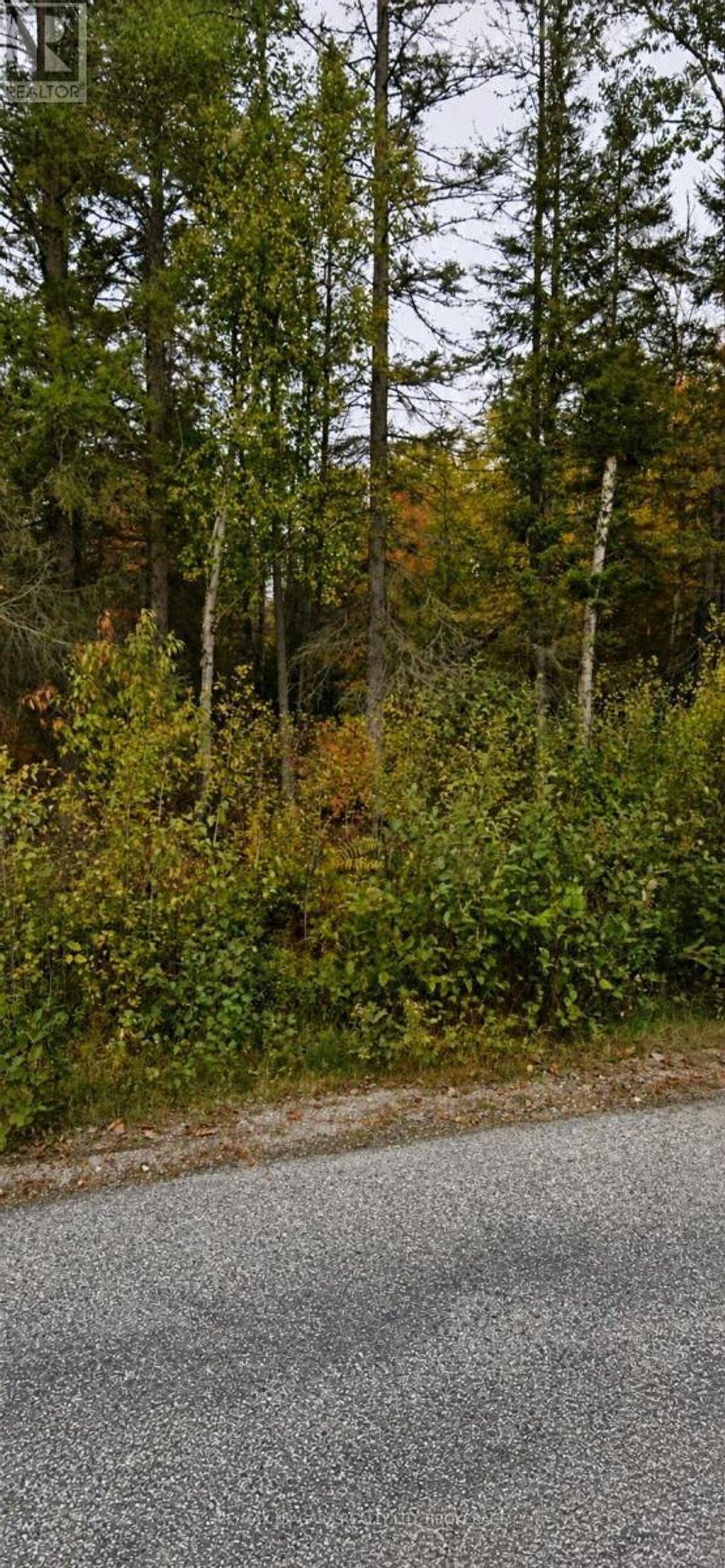 None Sweezey Street, Powassan (trout Creek)