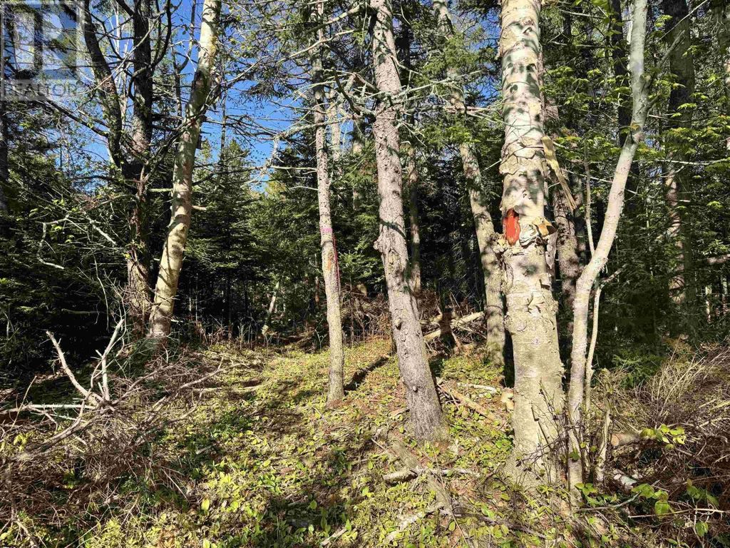24-1 Forest Drive Extension, Pictou