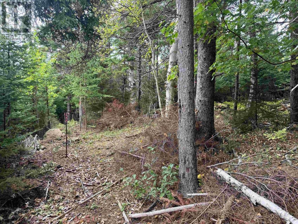 24-2 Forest Drive Extension, Pictou