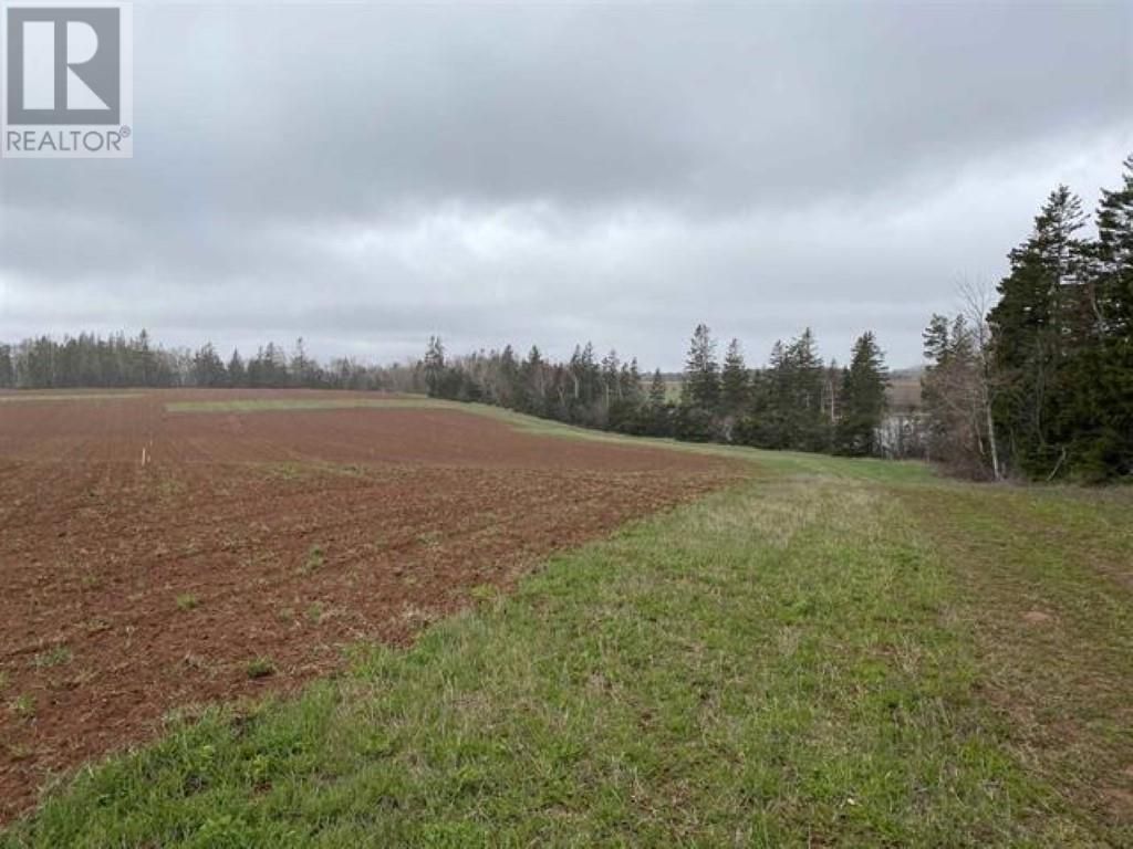 Lot 21-4 Kildare Lane, Kildare
