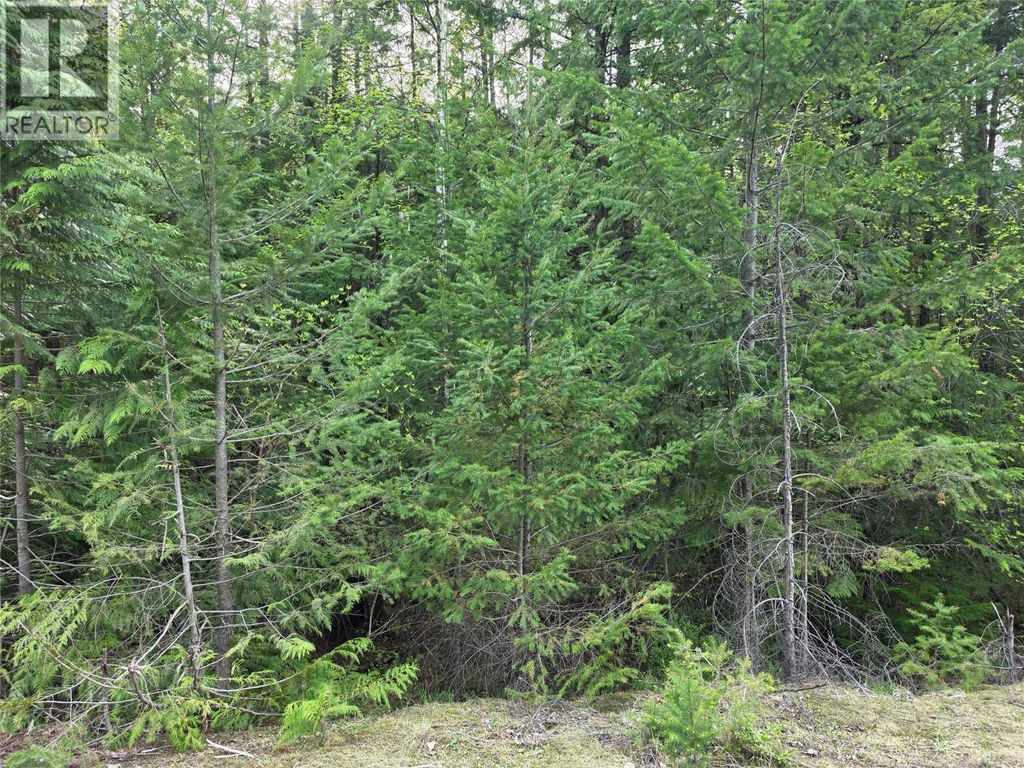6 Highway, Slocan