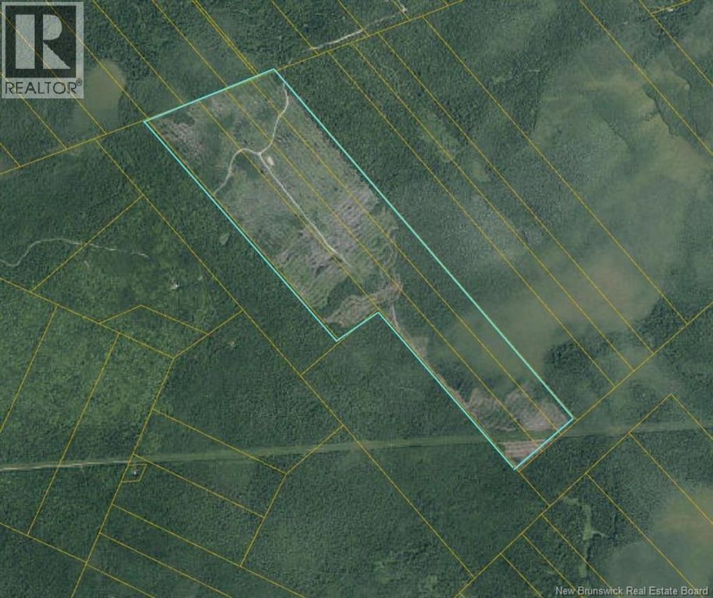 South Napan - 4 Interior Woodlot Parcels, Napan
