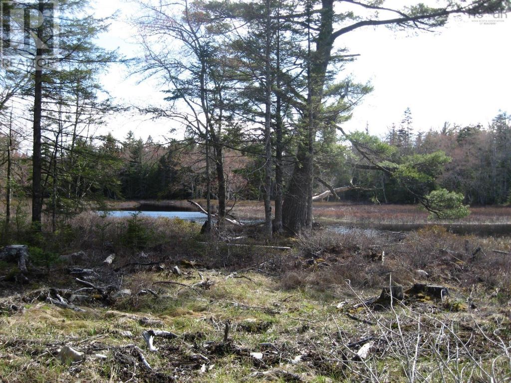 77 Bear Cove Road, Greenfield