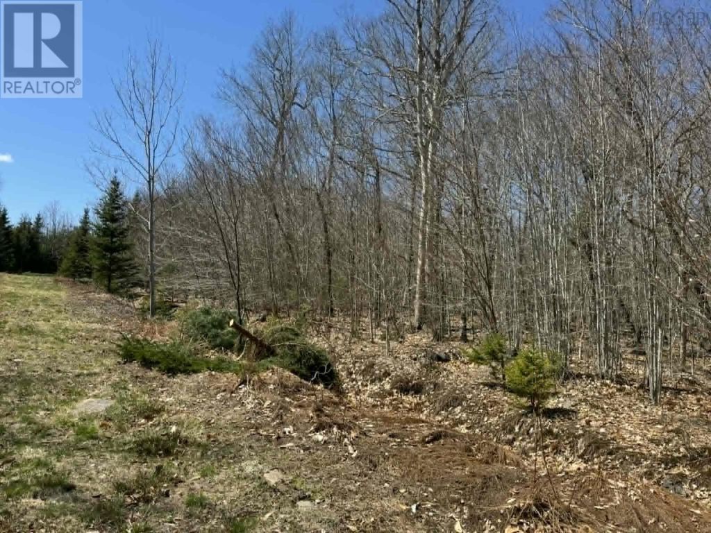 Lot R-10 Kill Dog Cove Road, Parkdale