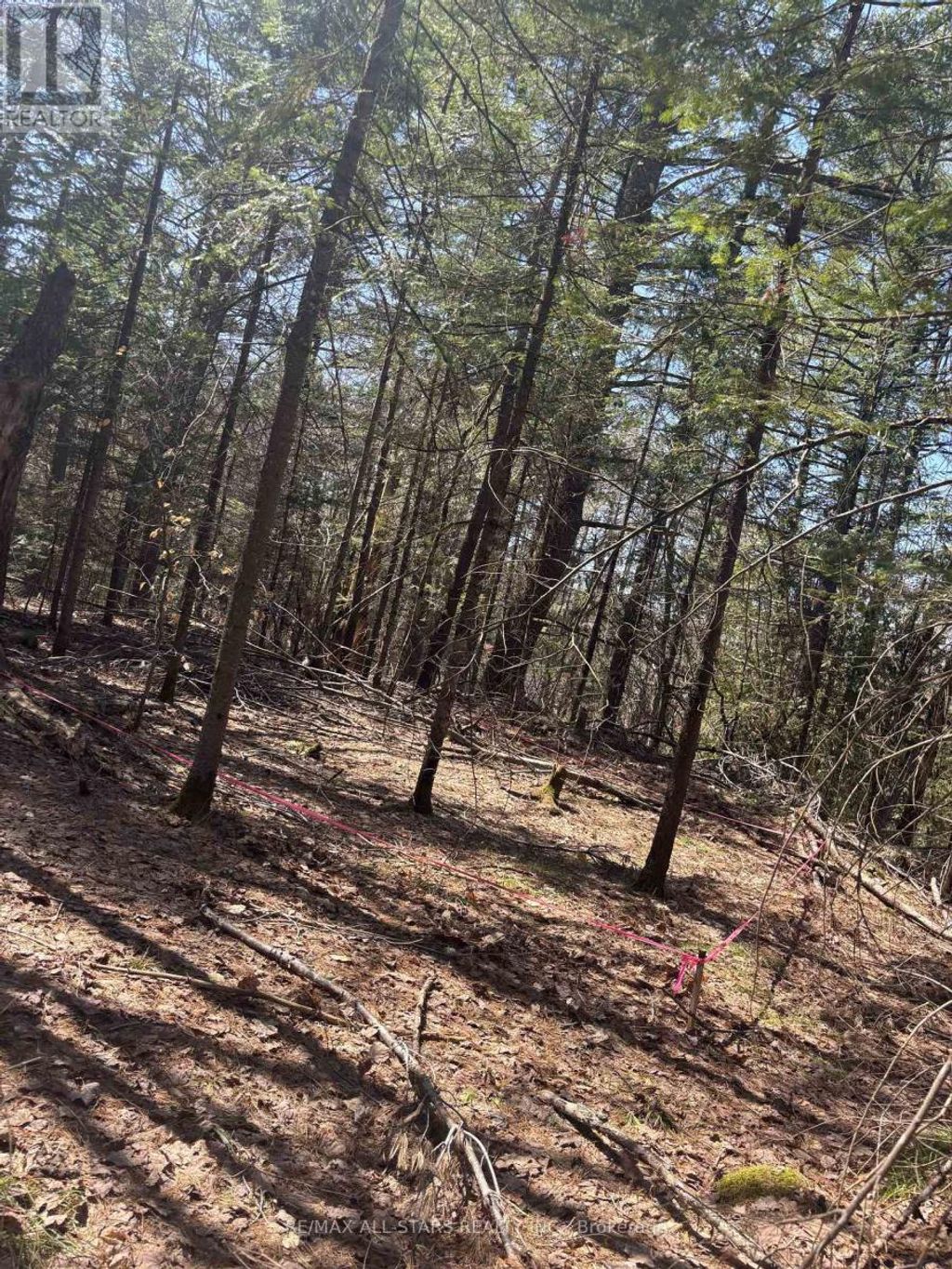 0 Kirkpatrick Lane, Bracebridge (draper)