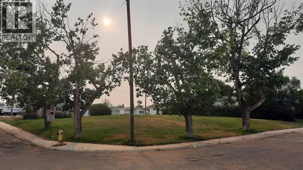 114 Railway Avenue S, Morrin
