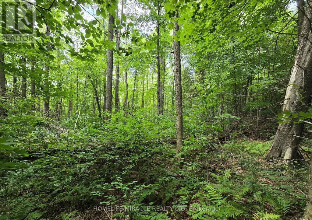 000 Cedar Sands Road, Rideau Lakes