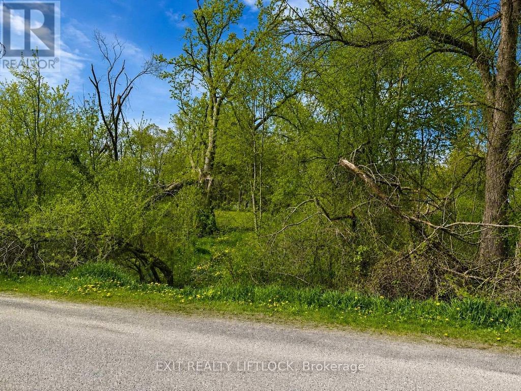 0 Maple Ridge Drive, Kawartha Lakes (emily)