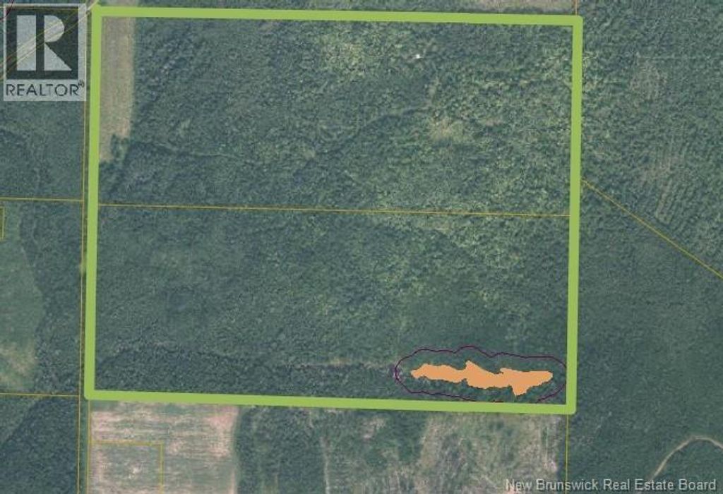 200 Acres Walker Road, South Tilley