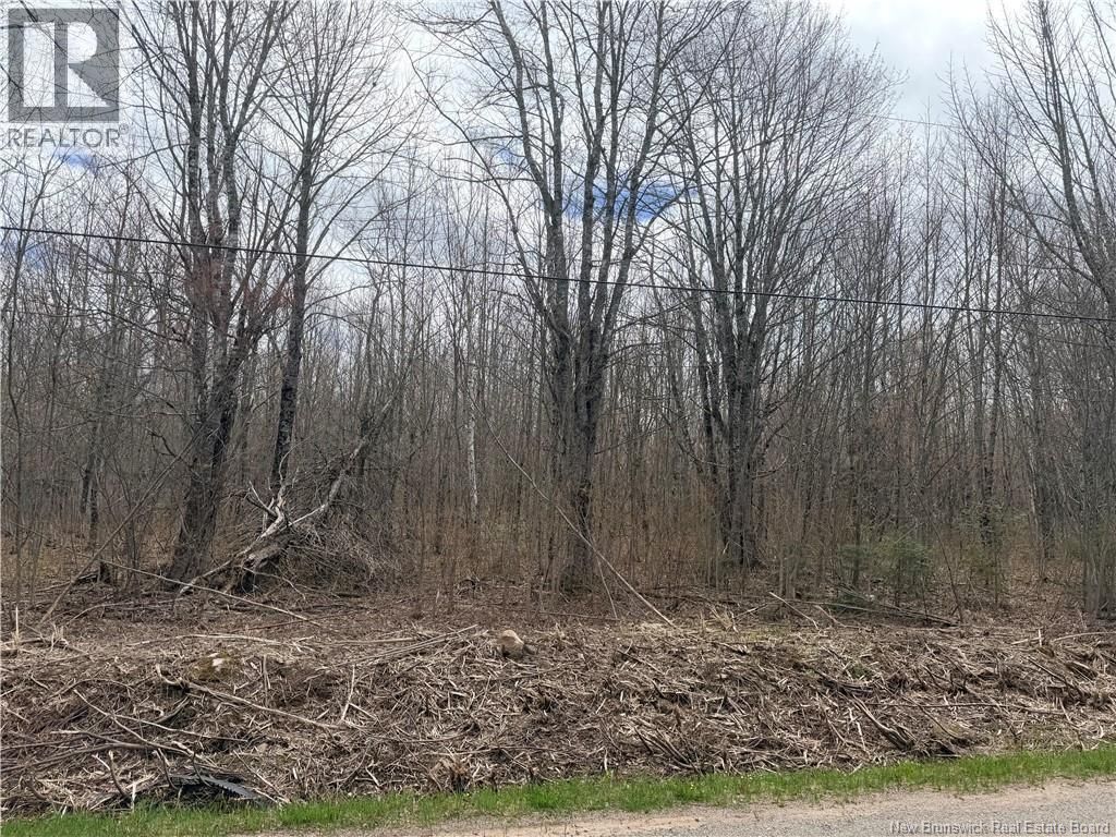 Lot 83-2 Route 880, Havelock