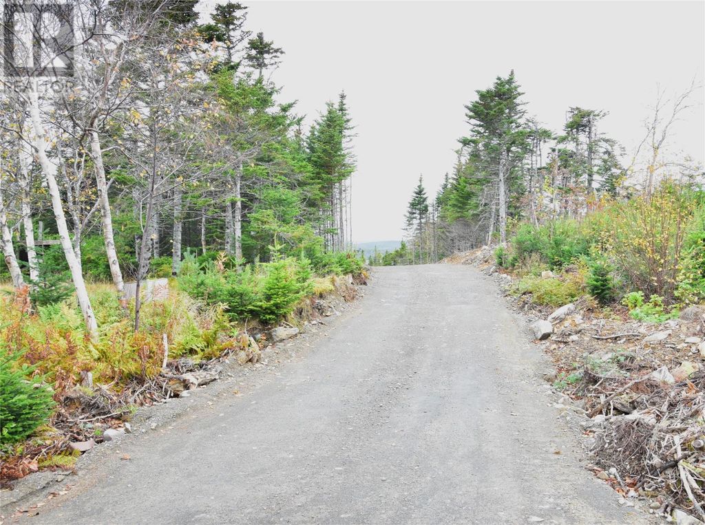 Lot 3 Second Pond Road, Shearstown / Butlerville