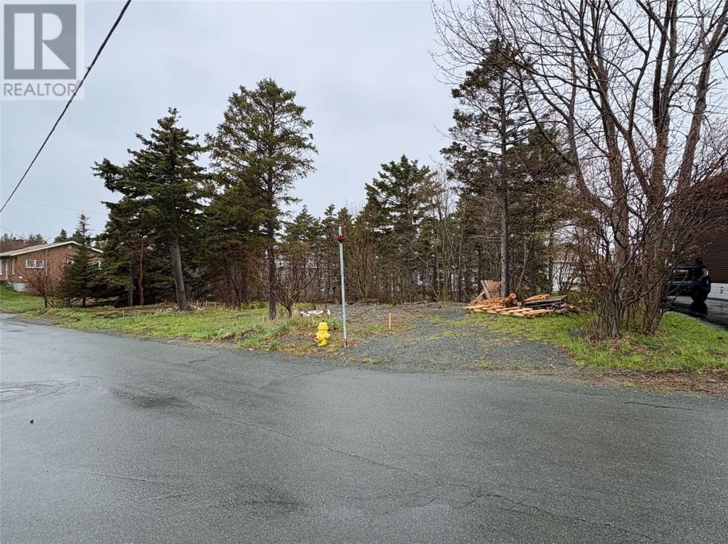 12 Browns Lane, Conception Bay South