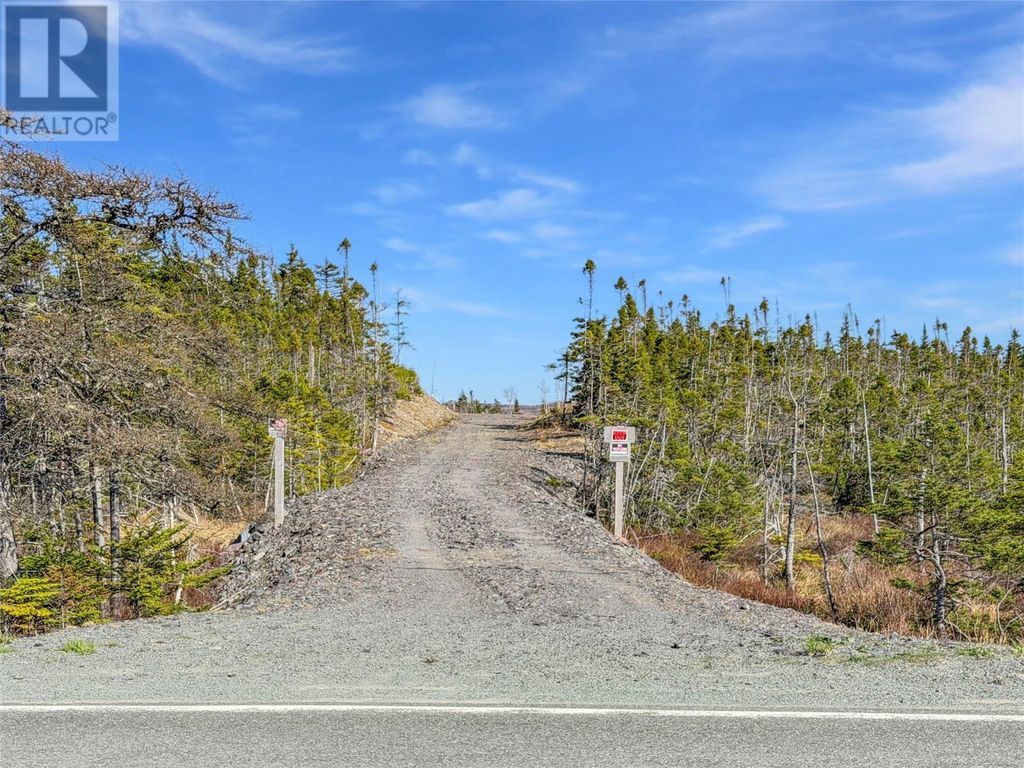 556 Salmonier Line, Salmonier