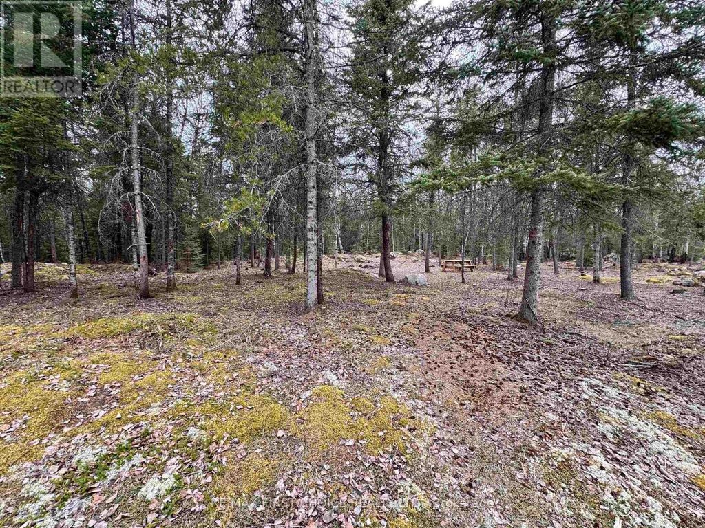 1,2,4,5 Bennett Drive /mcmanus Street, Red Lake (tb-701)