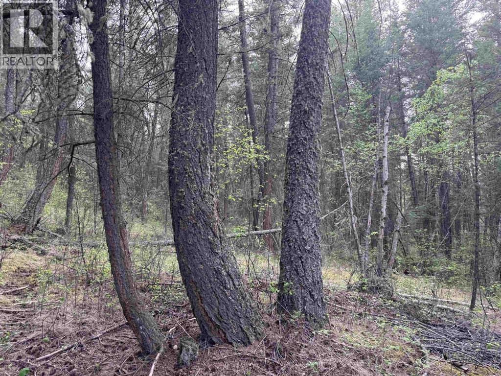550 Dog Creek Road, Williams Lake