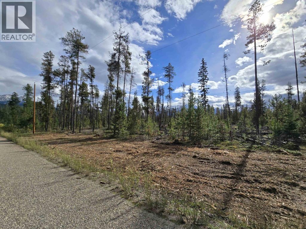 2350 Bailey Road, Valemount