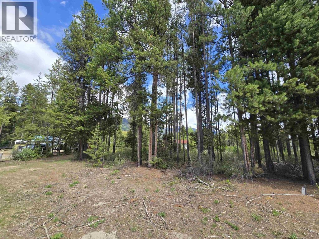 1406 Bruce Place, Valemount