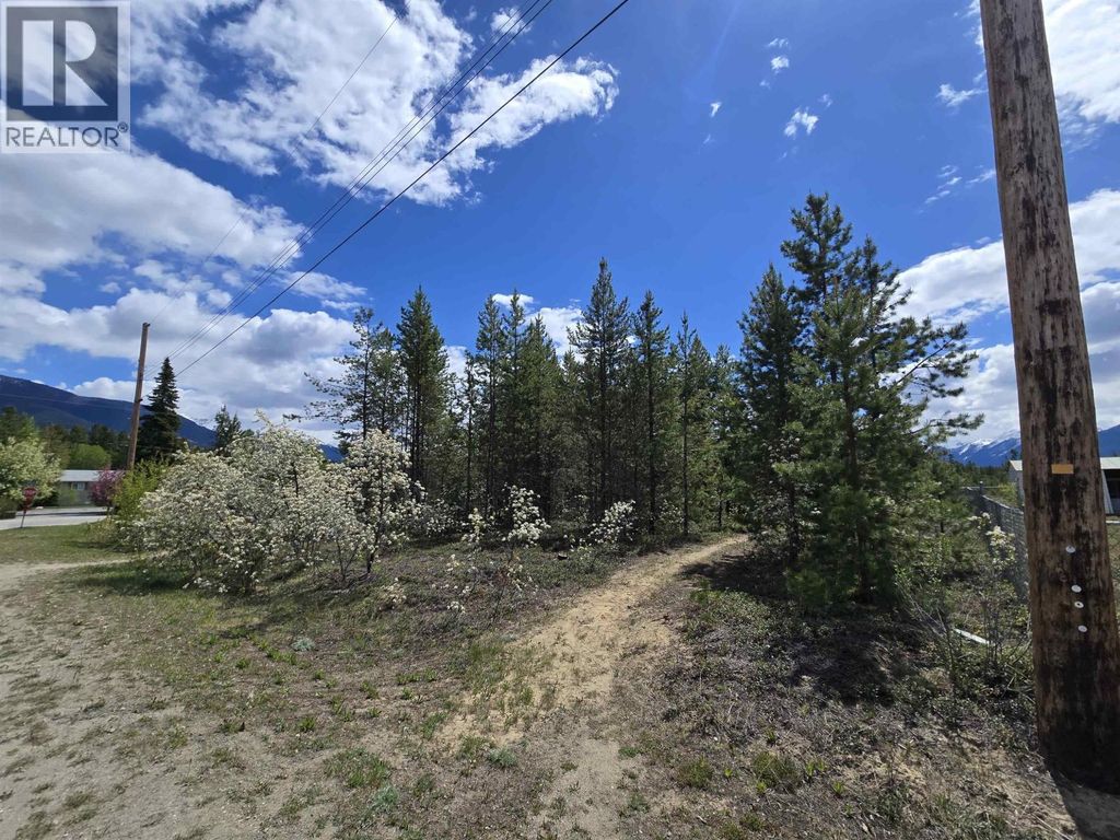 1025 9th Avenue, Valemount
