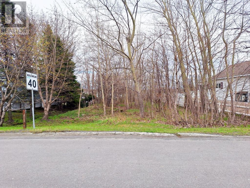 69 Earle Street, Grand Falls-Windsor