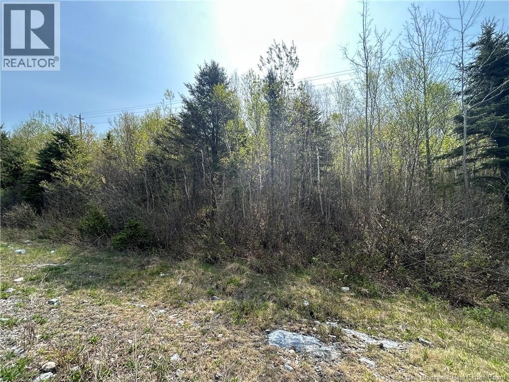 Golden Grove Mountain, Rothesay