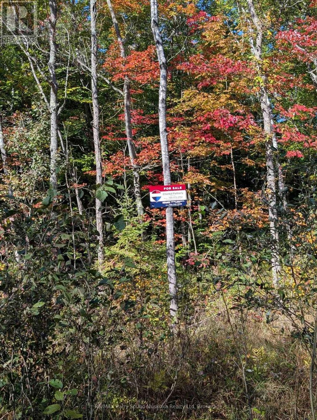 0 Sugar Lake Road, Seguin