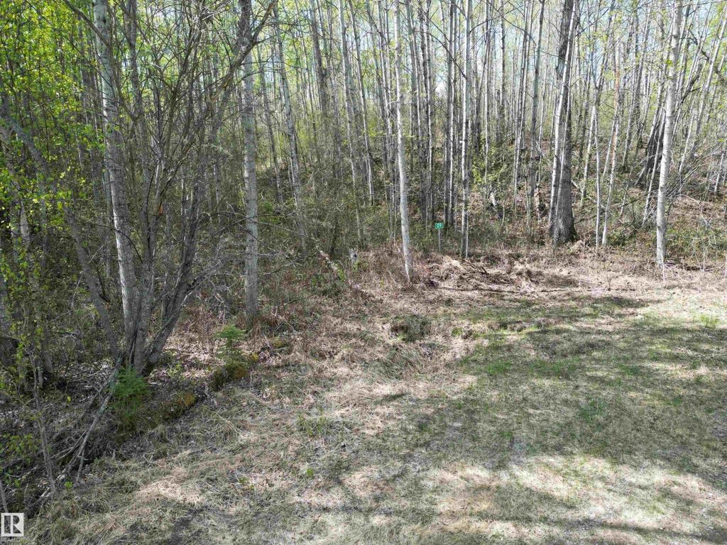#9&10 59316 Rr54, Rural Barrhead County