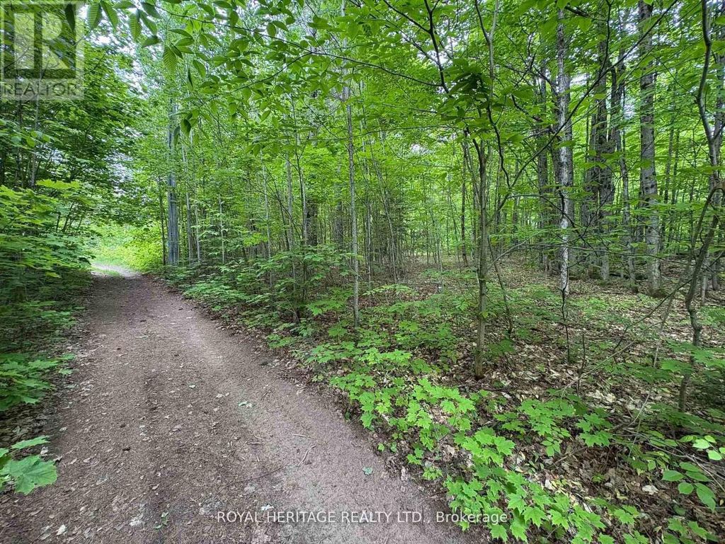 1043 Lawrence Pit Road, Muskoka Lakes (watt)